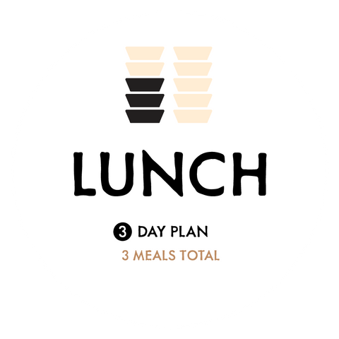 Lunch Only - 3 day